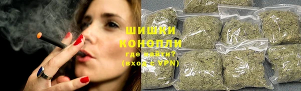 сатива Баксан