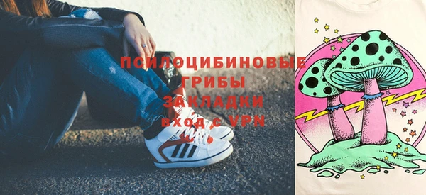 сатива Баксан