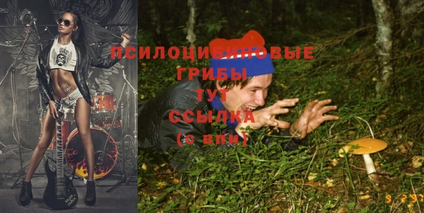 МДПВ Пролетарск